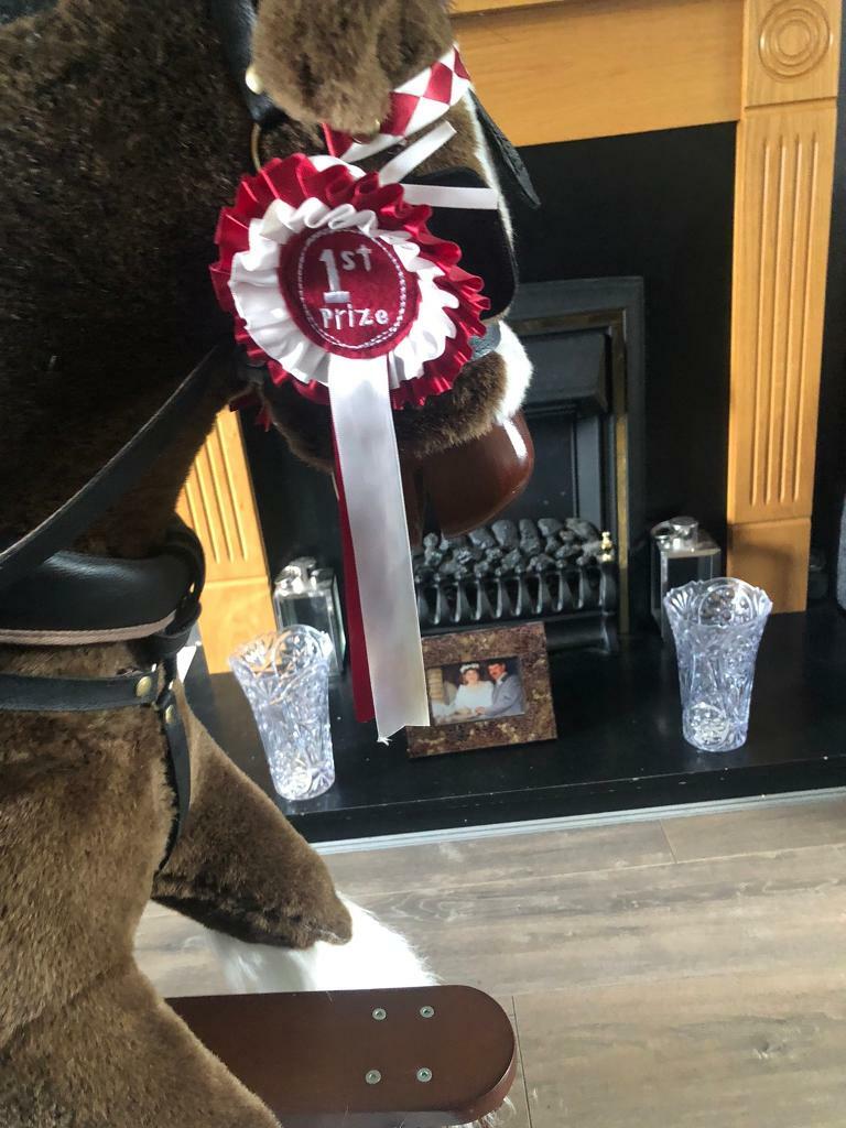 solomon rocking horse